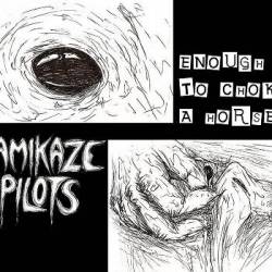 Kamikaze Pilots : Enough to Choke a Horse